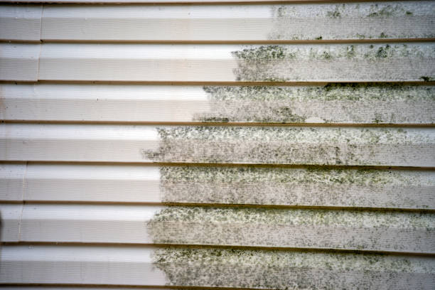 Best Composite Siding  in Santa Clara, UT